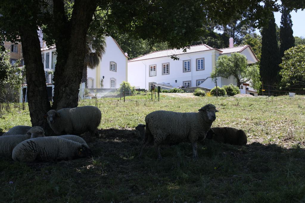 Eugaria Country House By Lost Lisbon Sintra Zewnętrze zdjęcie